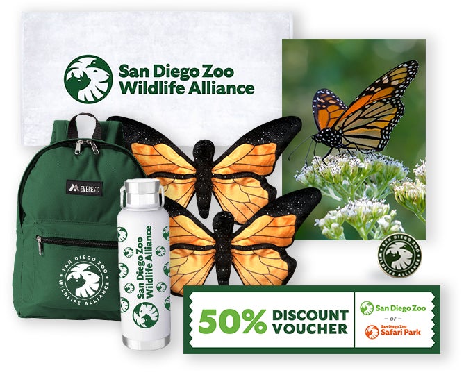 $1000 Butterfly Adoption Package