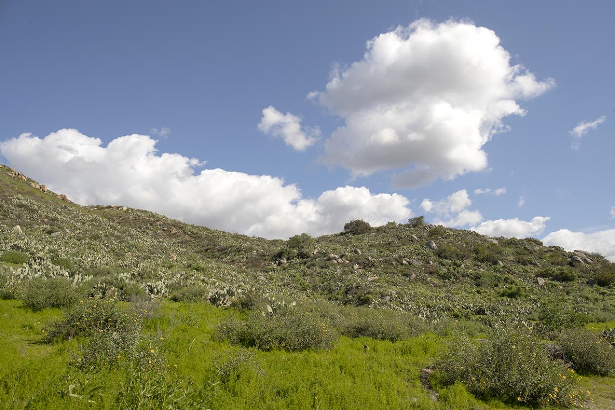 San Diego Zoo Safari Park Biodiversity Reserve