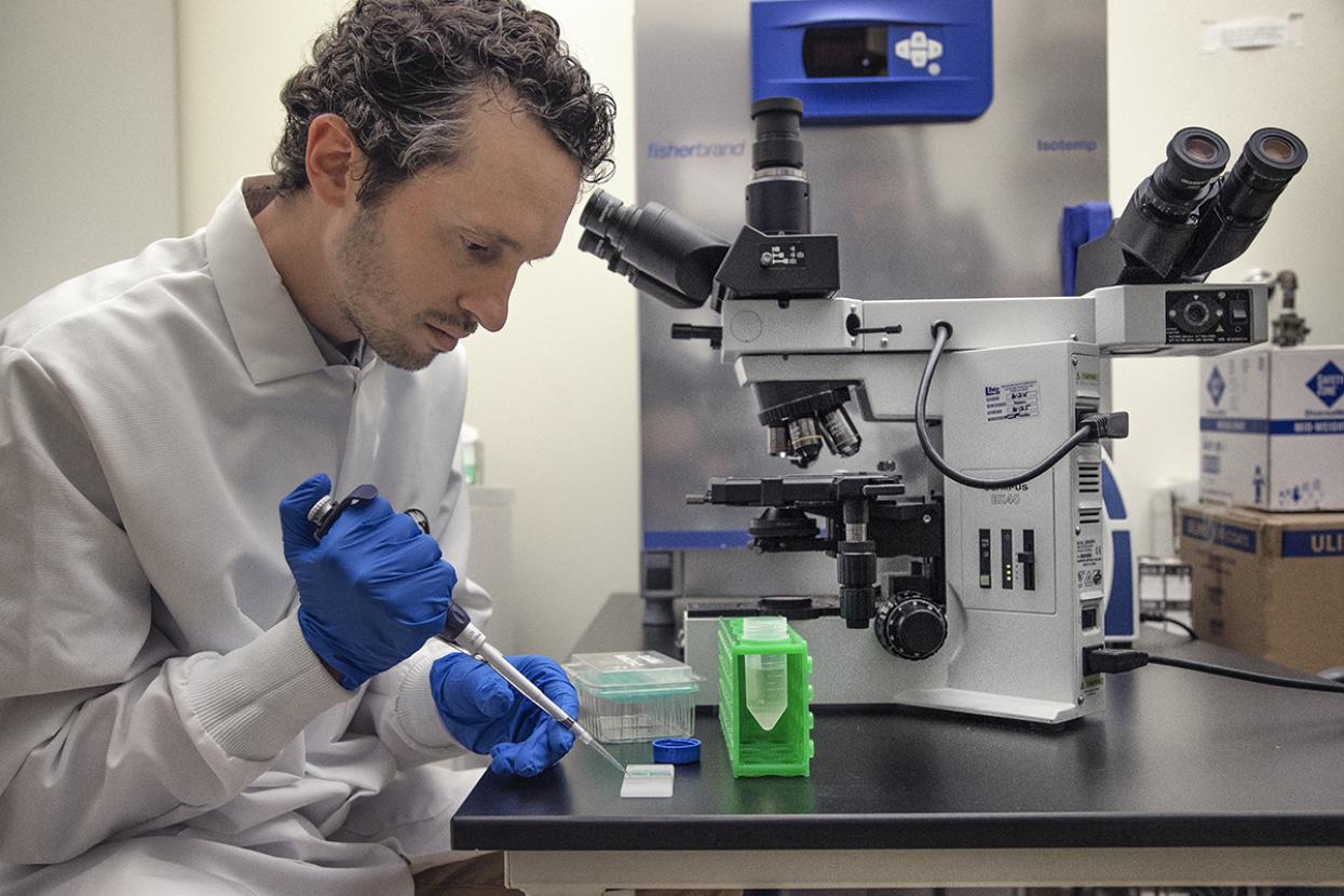 Scientist working at microscope station