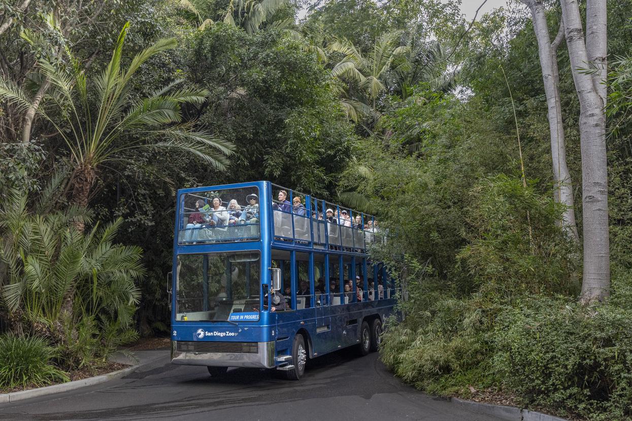 Botanical Bus Tour