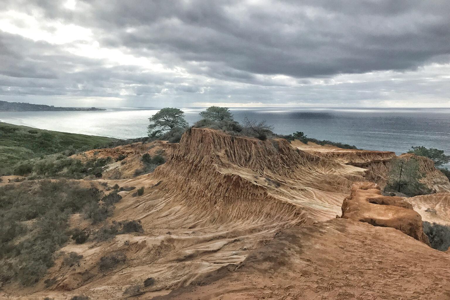 torrey pines
