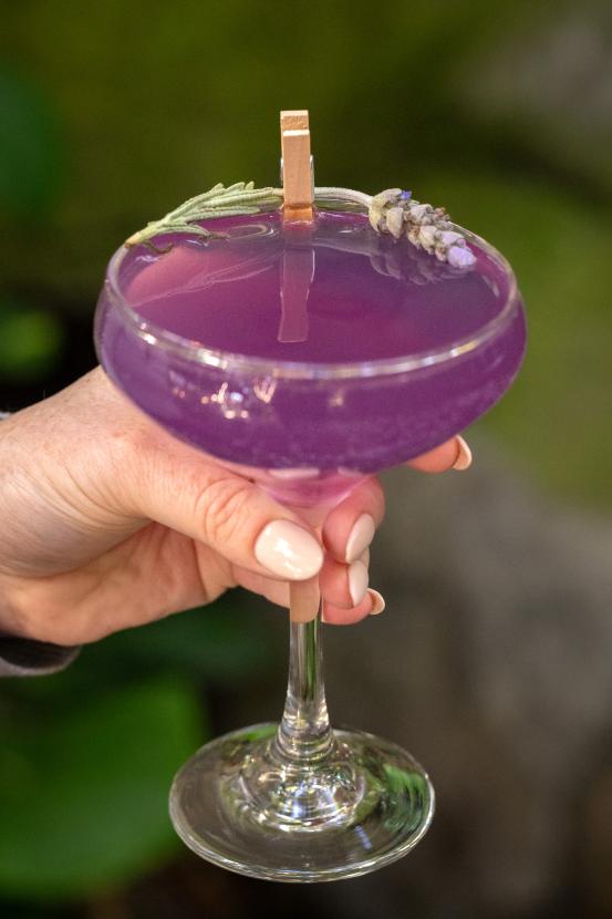 Purple cocktail in a champagne glass