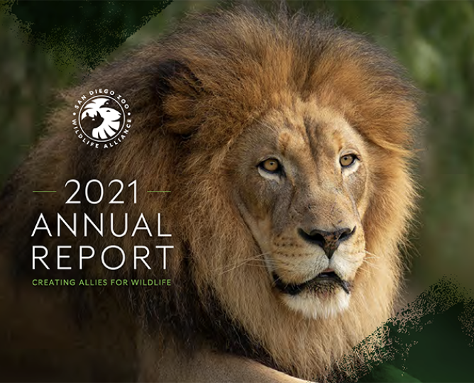 Creating Allies for wildlife